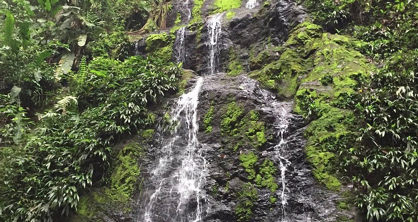 Brownsberg Nature Park, Suriname